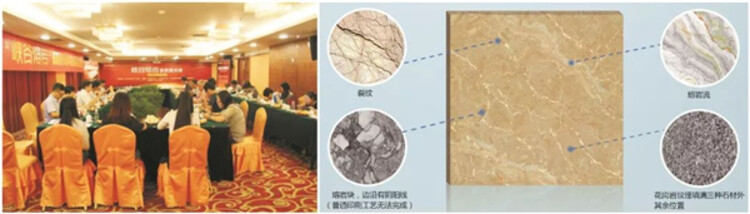 “峡谷熔岩瓷质抛光砖”经广东省建筑材料行业协会、广东陶瓷协会组织的专家组鉴定达“国际领先水平”。